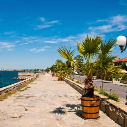 Pomorie 237 sewaan penginapan