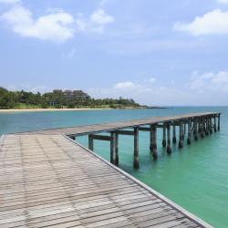 Ko Samed 41 beach rentals