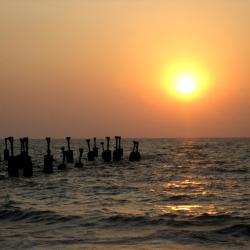 Kozhikode 4 hostely