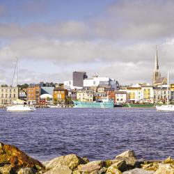 Wexford 10 majakest