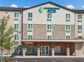 WoodSpring Suites Greenville Haywood Mall, hotel in Greenville