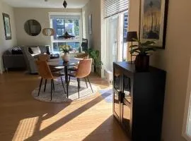 City Center (2bedroom/1bath/Balcony) Sørenga