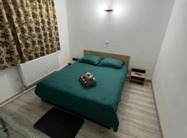 Garsoniera Casa Dragoeni, Targu Jiu, hotel din Târgu Jiu
