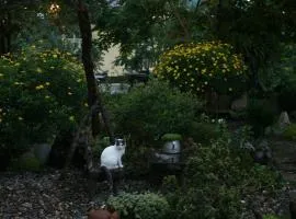 La Maison SAPA - Bungalows