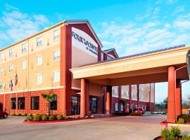 Four Points by Sheraton Houston Hobby Airport, hotel near William P. Hobby Airport - HOU, Houston