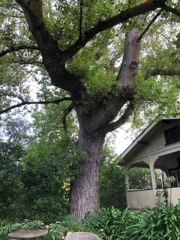Giardino di Lorelei Bed & Breakfast