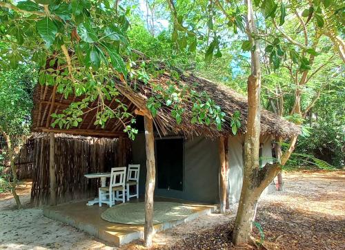 Bamba Kofi Lodge