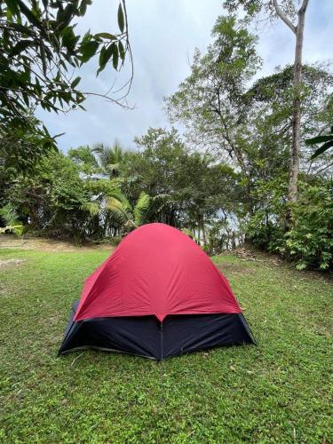 Coco Bamboo Beach Camp