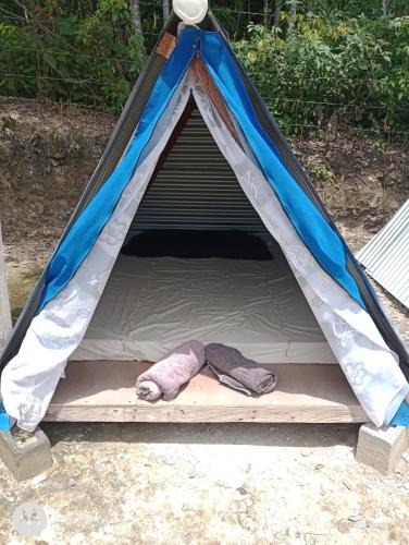 Tikal glampimg la mansión del danto