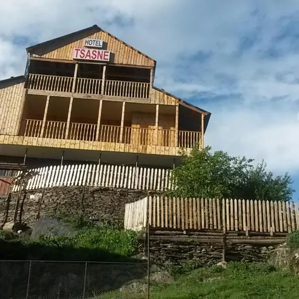 Guest House Tsasne, hotel in Omalo