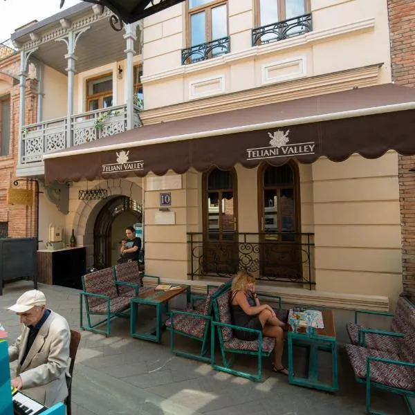 Hotel Opinion, hotel a Tbilisi City