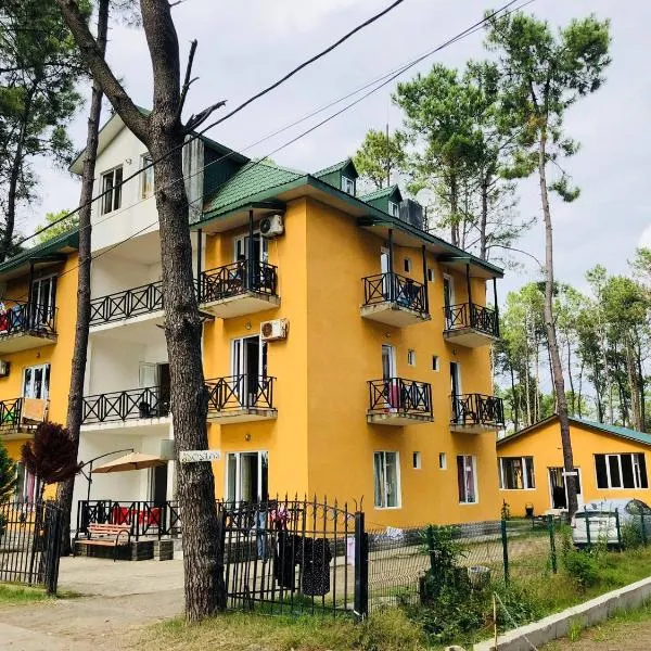Bajo Shekvetili, hotel a Shekhvetili