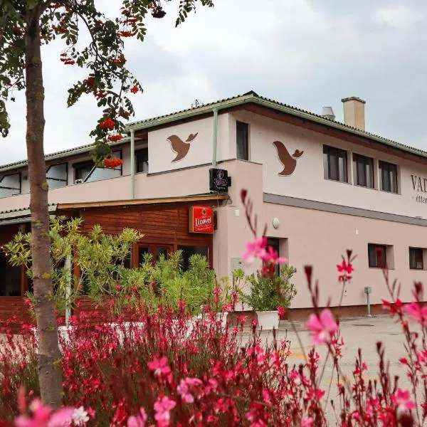 Vadkacsa Panzio, hotel v destinaci Balatonkenese