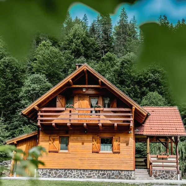 Central Chalet, hotel din Vărşag