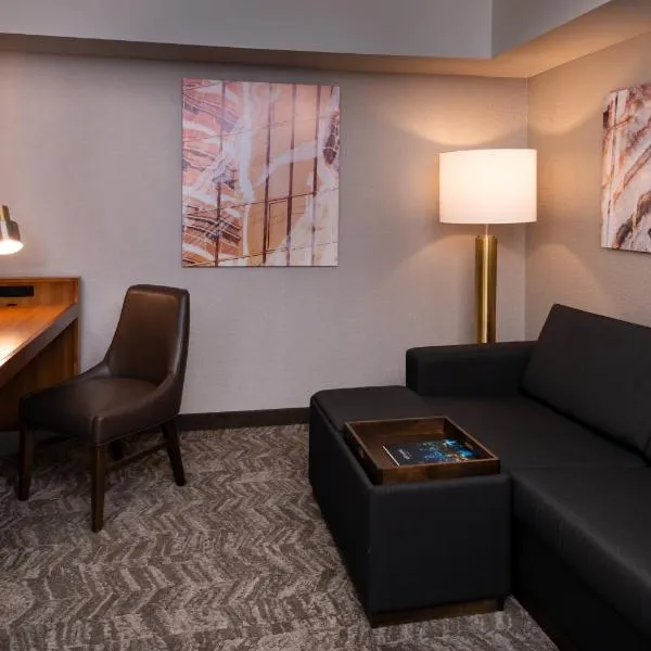 SpringHill Suites by Marriott Pittsburgh North Shore, hotel in Pittsburgh